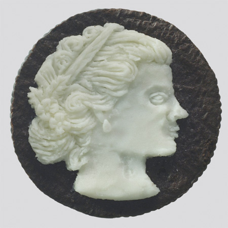 Oreo Cookie Portrait