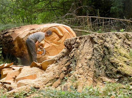 Tree Carving