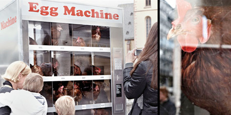 Egg Vending Machine