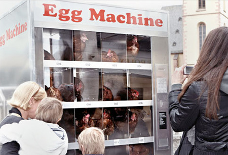 Chicken Machine