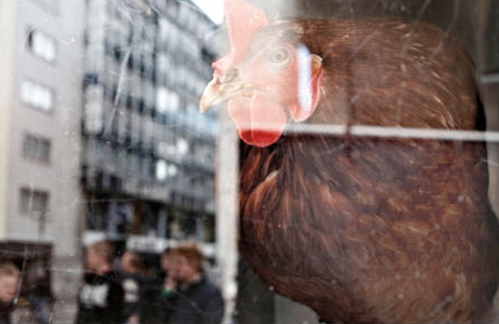 Chicken Vending Machine