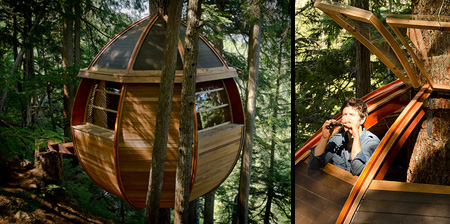 Egg Shaped Tree House