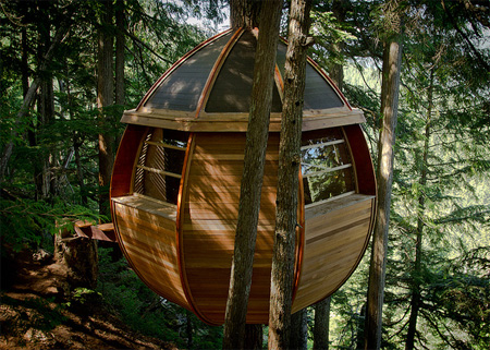 Round Tree House