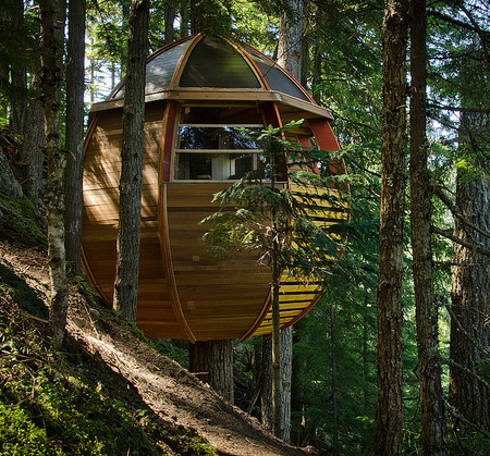 Egg Tree House