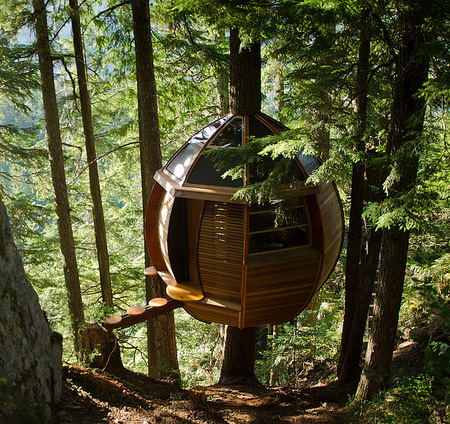 Secret Tree House