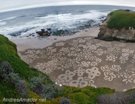 Painting in the Sand