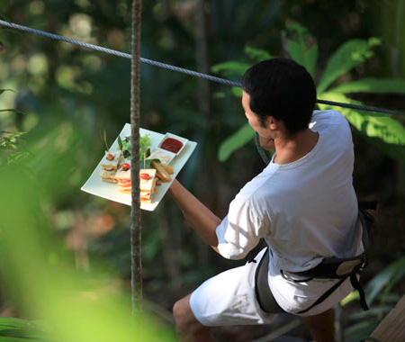 Tree Dining