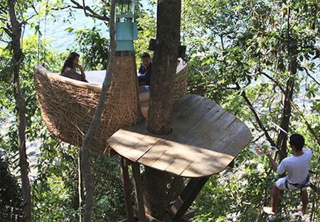 Tree Top Dining