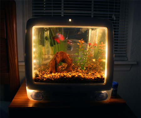 MacAquarium