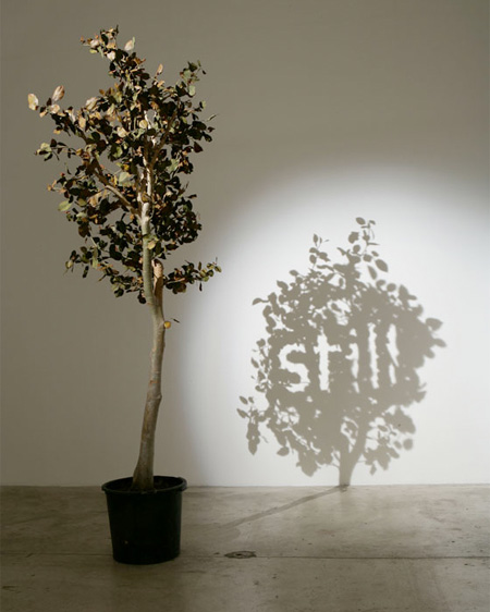 Shadow Art by Fred Eerdekens