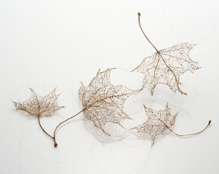 Human Hair Leaves by Jenine Shereos