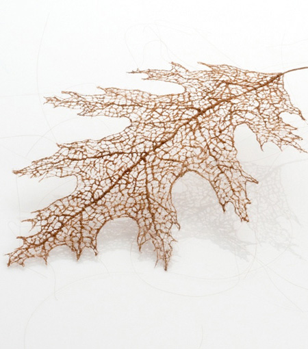 Leaf Made of Human Hair