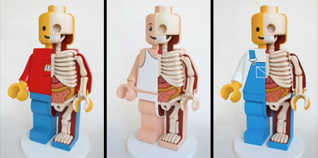 LEGO Anatomy