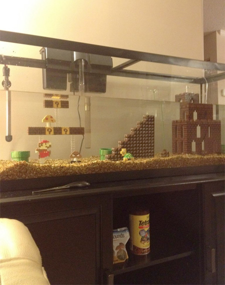 Mario Aquarium