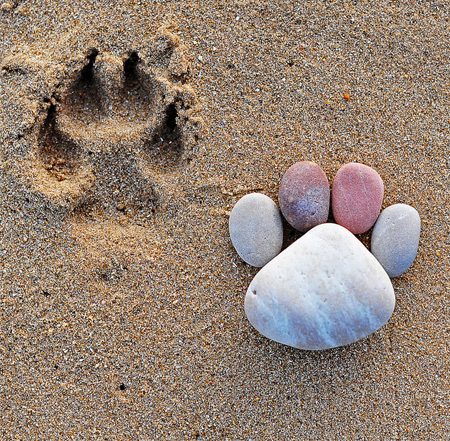 Stone Footprint