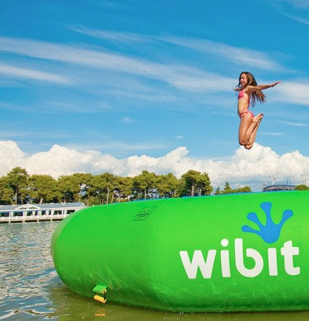 Wibit