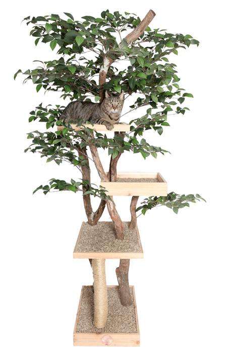 Tree House for Cats