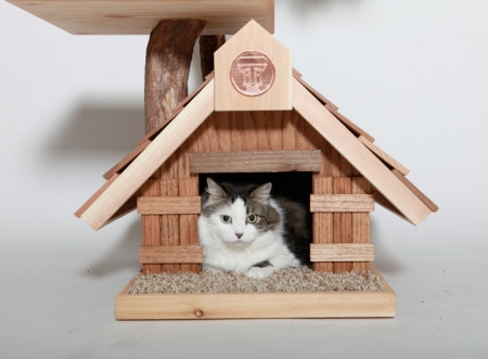 خانه ای برای گربه من 