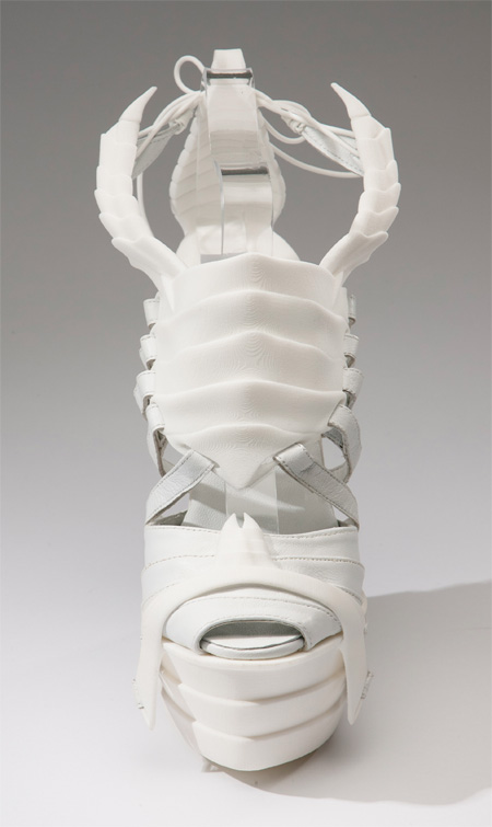 Scorpion Shoe