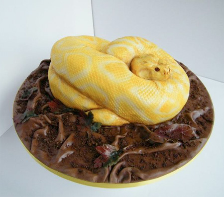 Snake Cake by North Star Cakes