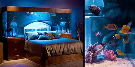 Aquarium Bed