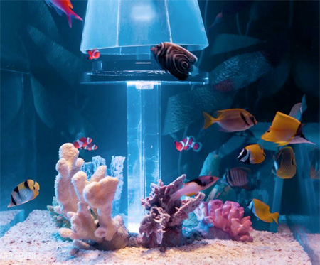 Aquarium