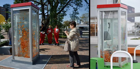 Phone Booth Aquariums