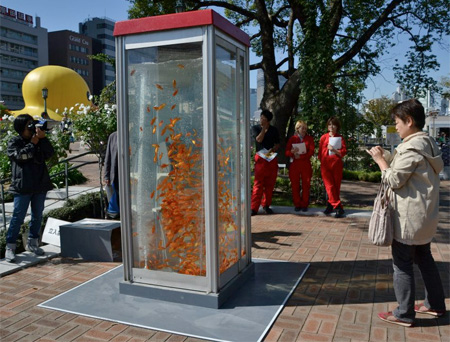 Phone Booth Aquarium