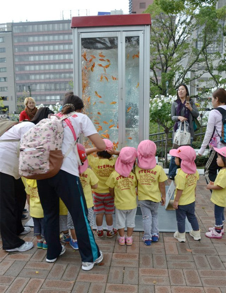 Phone Booth Aquarium in Japan