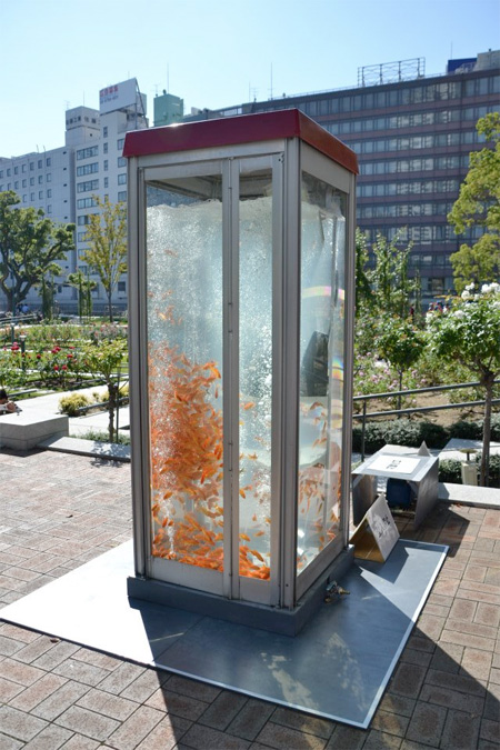 Telephone Booth Aquarium in Japan