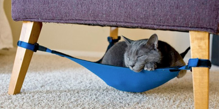 Cat Hammock