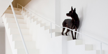 Staircase for Dogs