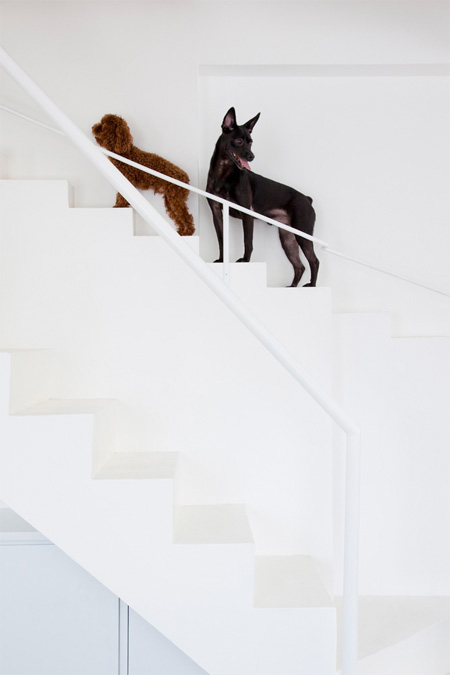 Stairs for Dogs