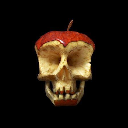 Apple Skull