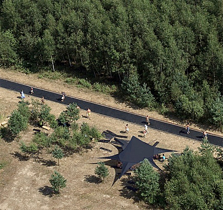 Trampoline Road in the Forest