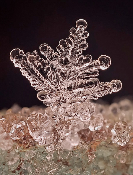 Macro Photos of Snowflakes