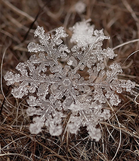 Snowflake