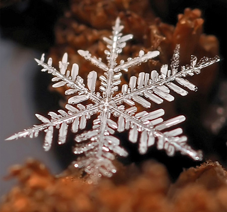 Beautiful Snowflake