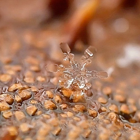 Winter Snowflakes