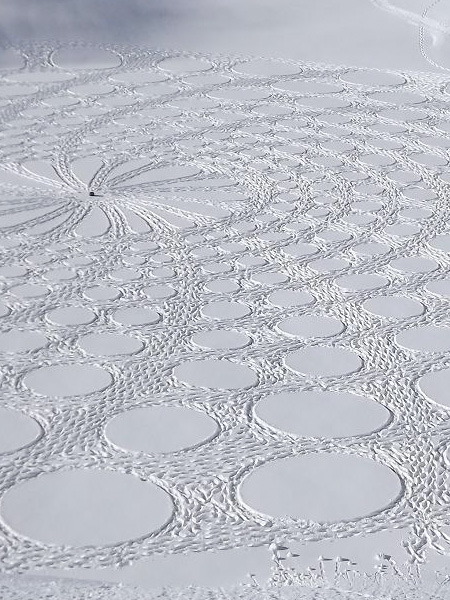 Pattern on Snow