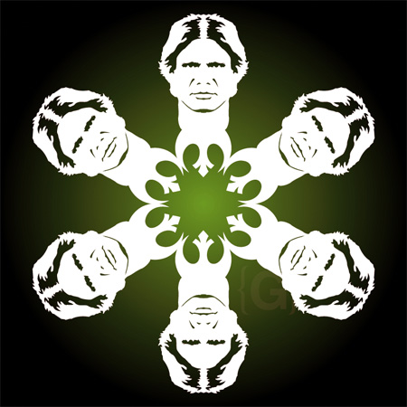 Han Solo Snowflakes