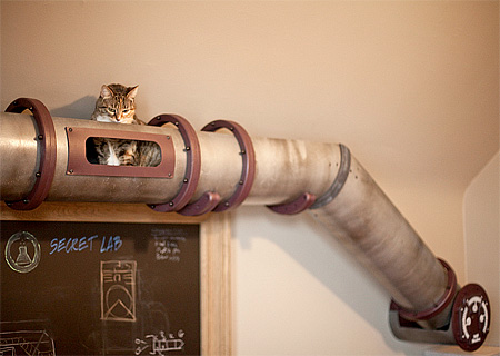 Cat Tube