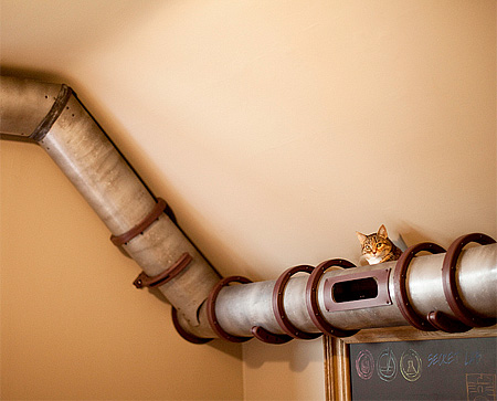 Cat Tubes