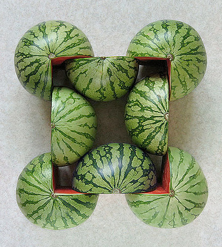 Watermelon Art by Sakir Gokcebag