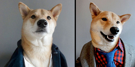 Menswear Dog