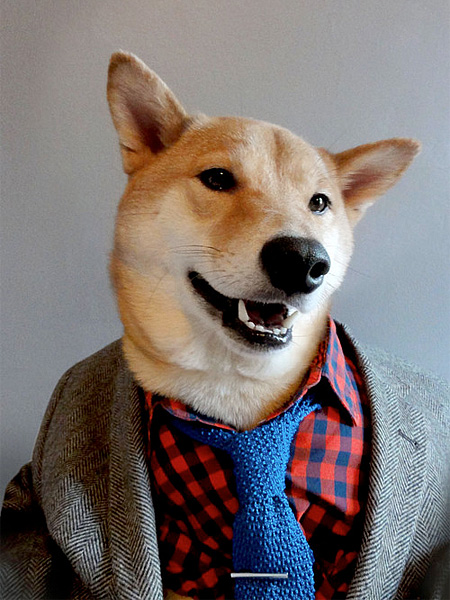 Dog Fashion Model
