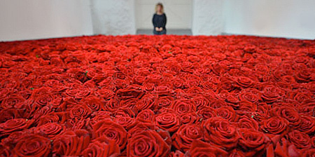 Room Filled with Roses