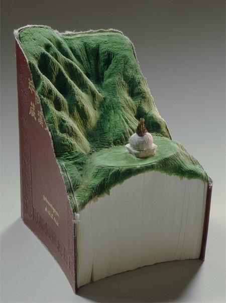 Book Carving