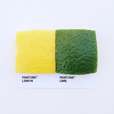 Pantone Pairings by David Schwen