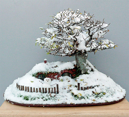 Hobbit House Bonsai Tree